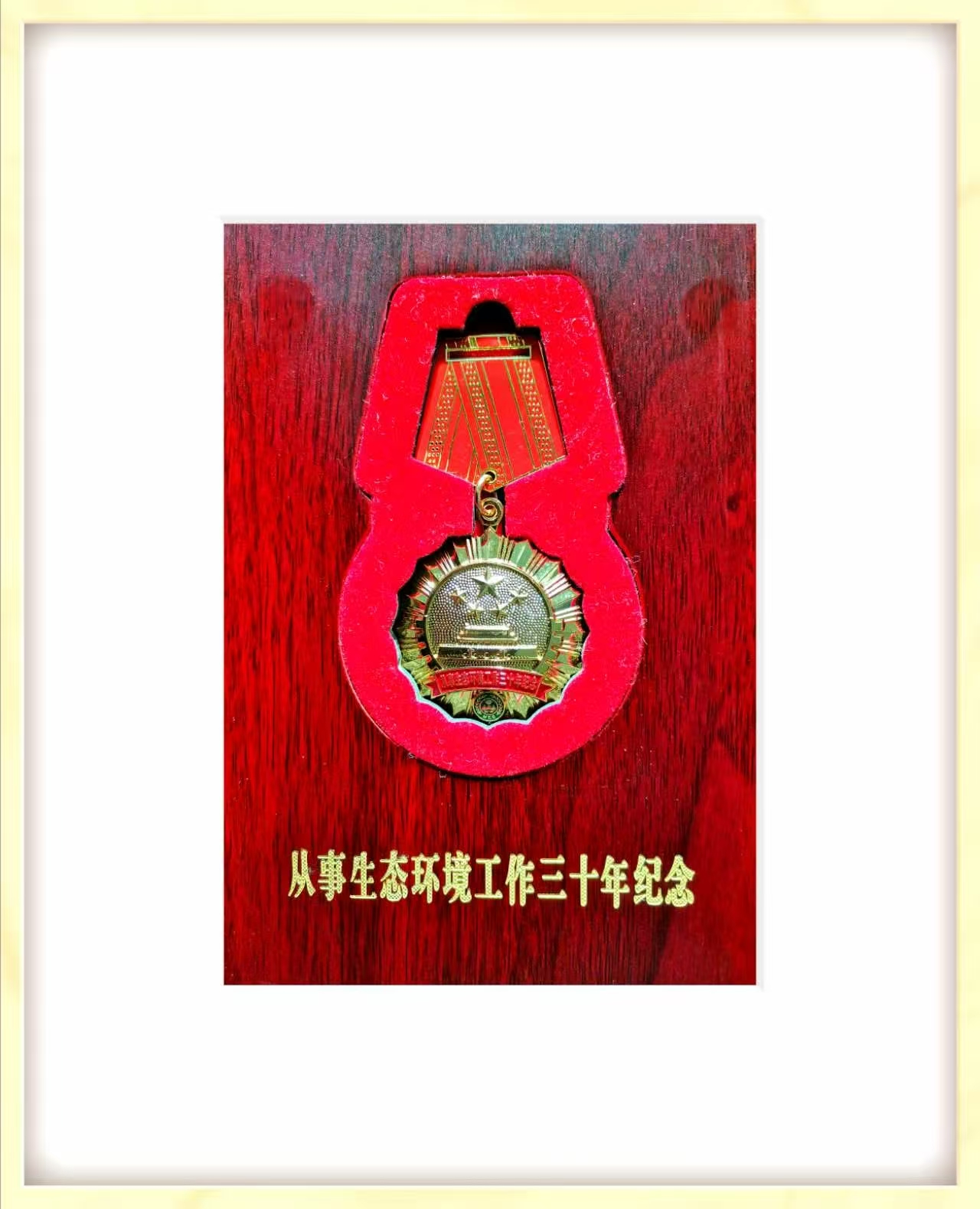刻有年轮的纪念章